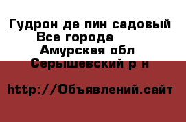 Гудрон де пин садовый - Все города  »    . Амурская обл.,Серышевский р-н